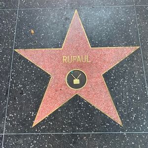 Meet your Posher, Connie